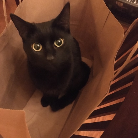 My aesthetic is Revlon Streetwear nail polish💅👌 - Picture 2 of 2